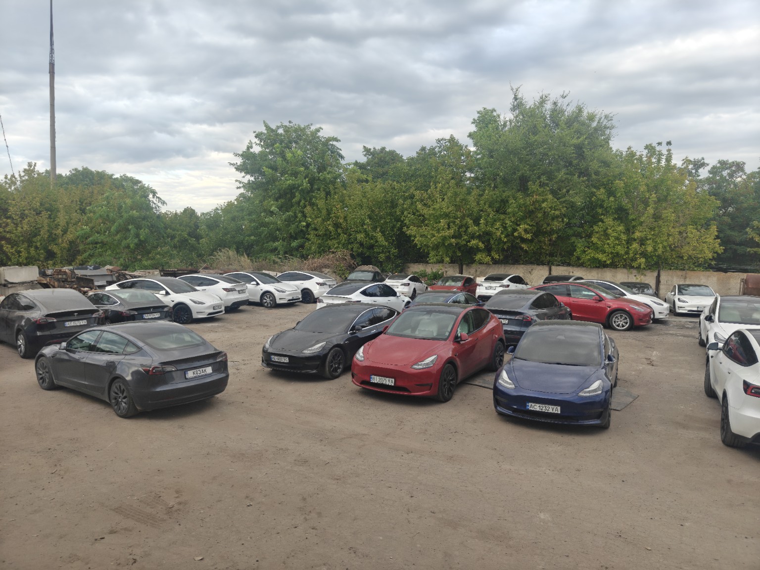 Парковка Tesla у сервиса TeslaGO